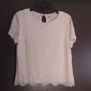 Lily White Cream Lace Short Sleeve Blouse